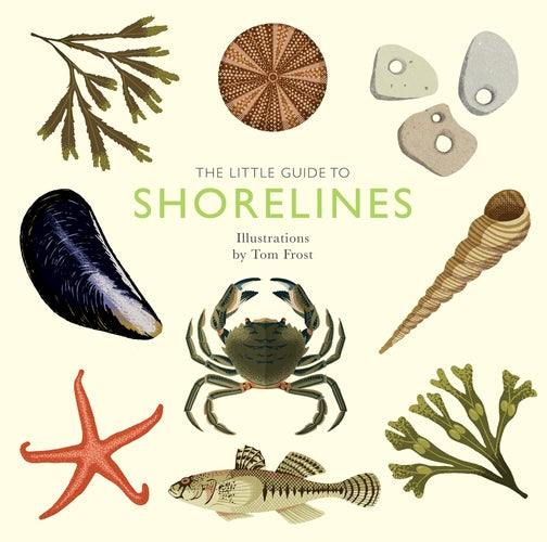 little guide to shorelines book