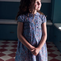 arcadia smocked dress