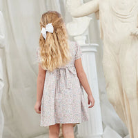 arcadia smock dress