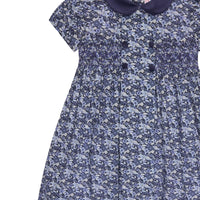 arcadia smocked dress