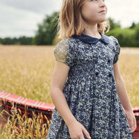 arcadia smocked dress