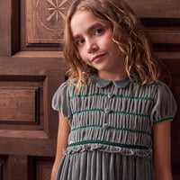 bb lurdes velvet dress