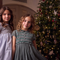 bb lurdes velvet dress