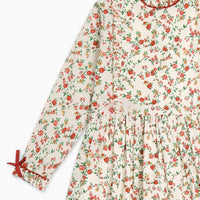 bb rosaura dress