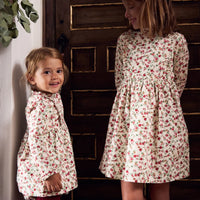 bb rosaura dress