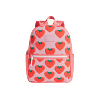 kane travel backpack