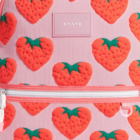 kane travel backpack