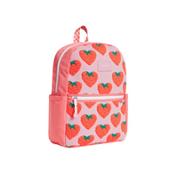 kane travel backpack