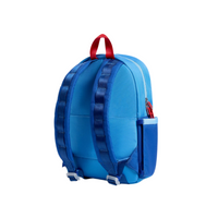 kane mini backpack