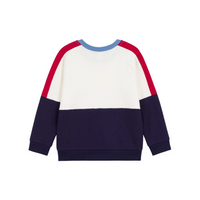 colorblock sweatshirt