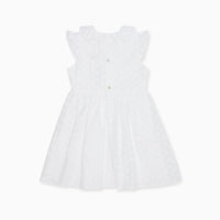 serafina embroidered dress