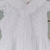 serafina embroidered dress