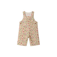 malexandre overall