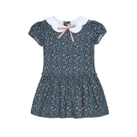 xana drop waist dress