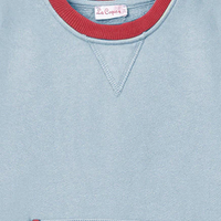 baby blue saina sweatshirt