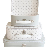 carrying case starry night small
