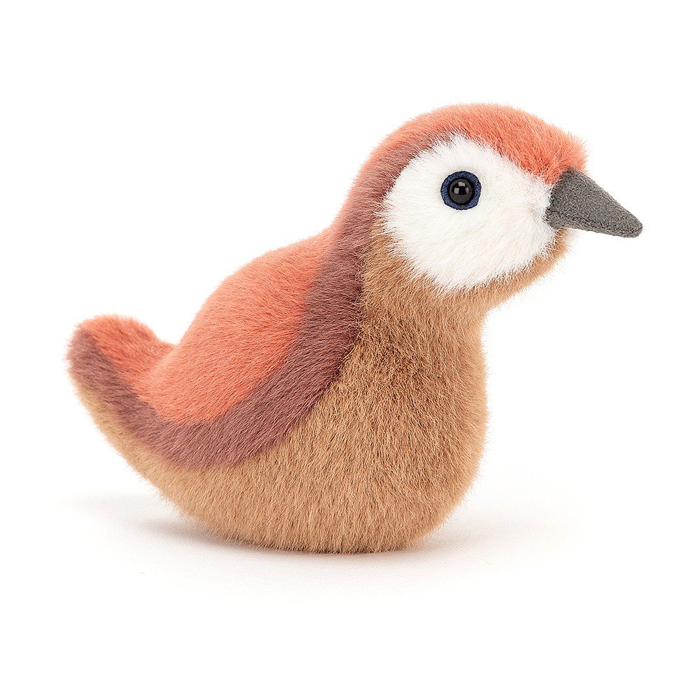 birdling wren