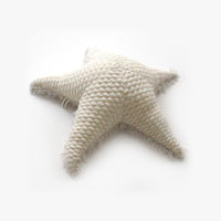 the small sea star