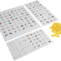 ocean bingo