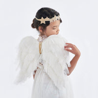 tulle angel wings costume 3+