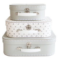 carrying case starry night small
