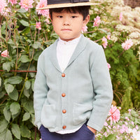 selvas cardigan sage green