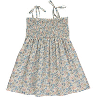 virginia dress vintage blue