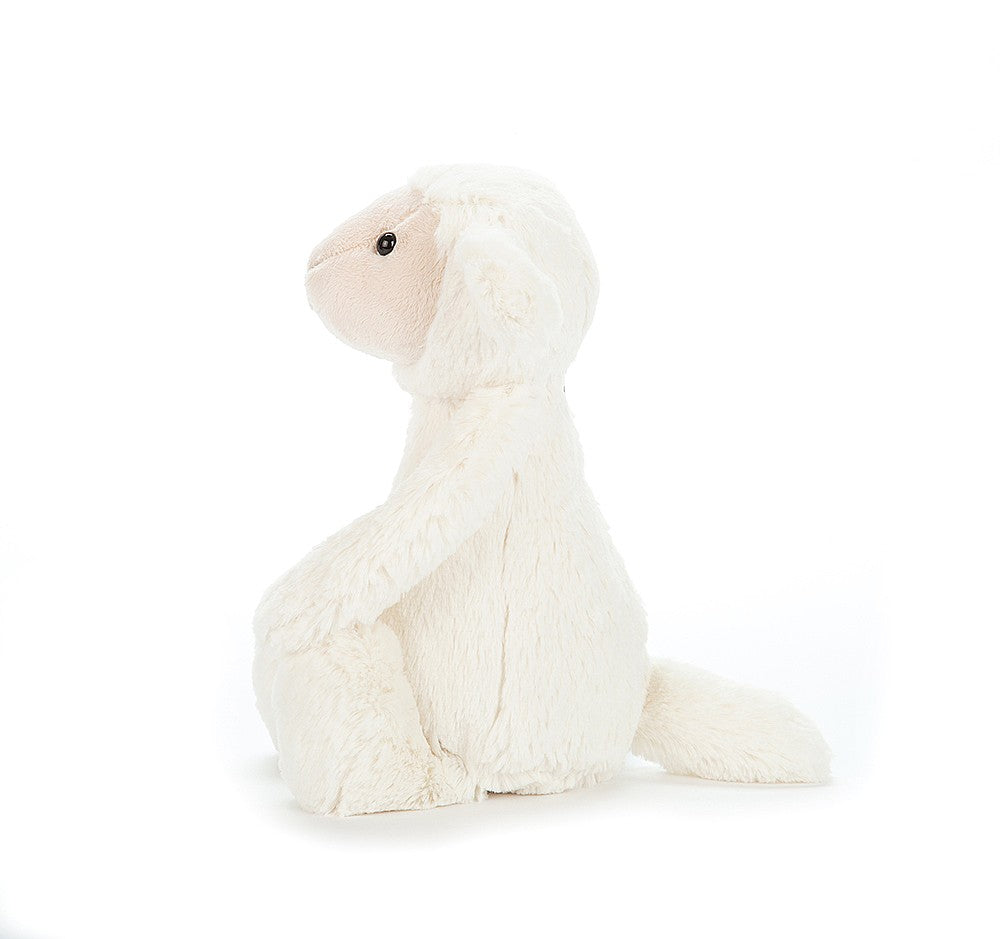 bashful lamb small