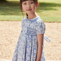 arcadia smocked dress