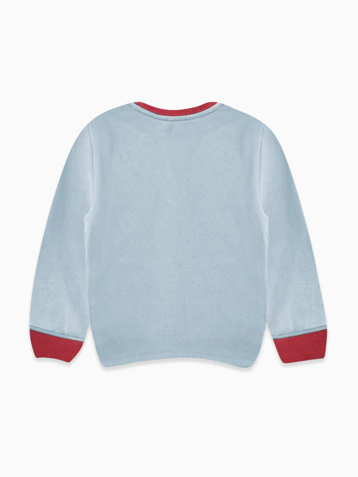 baby blue saina sweatshirt