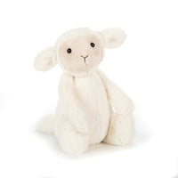 bashful lamb small