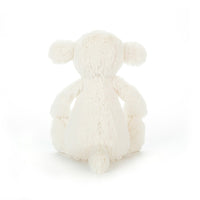 bashful lamb small