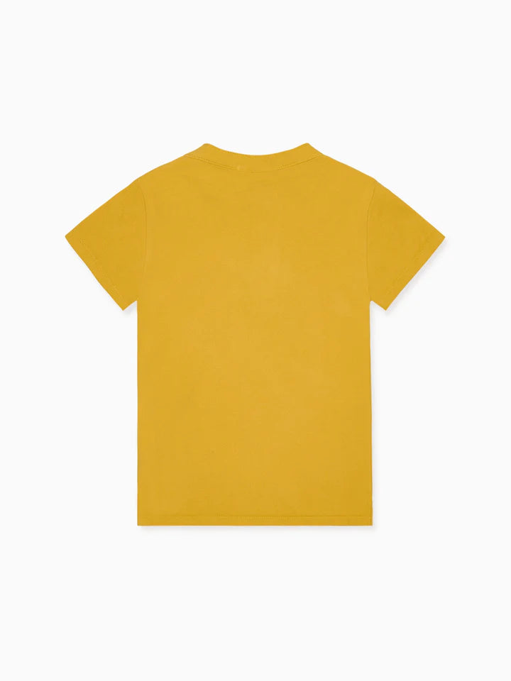 bb alcon polo shirt