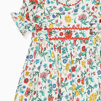 amapola dress