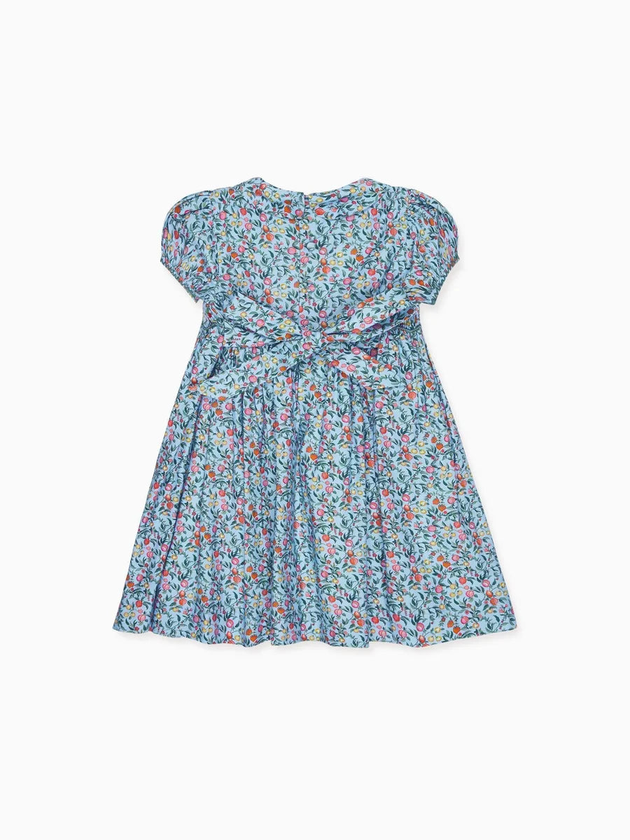 bb arcadia smocked dress