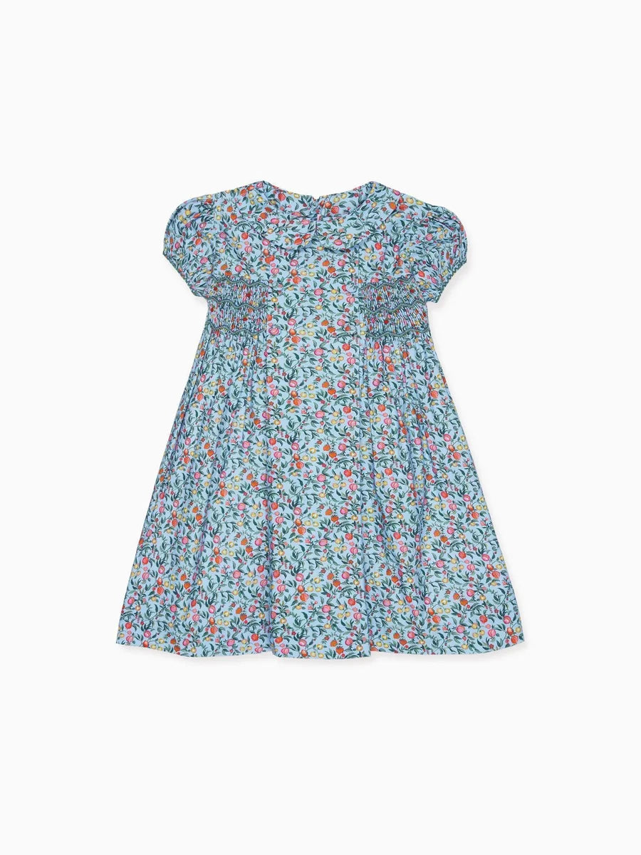 bb arcadia smocked dress