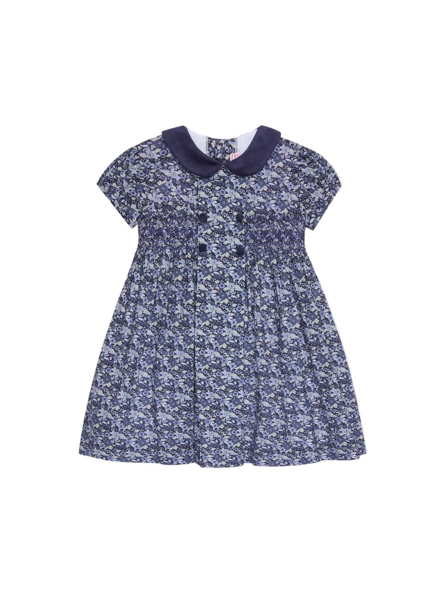 arcadia smocked dress