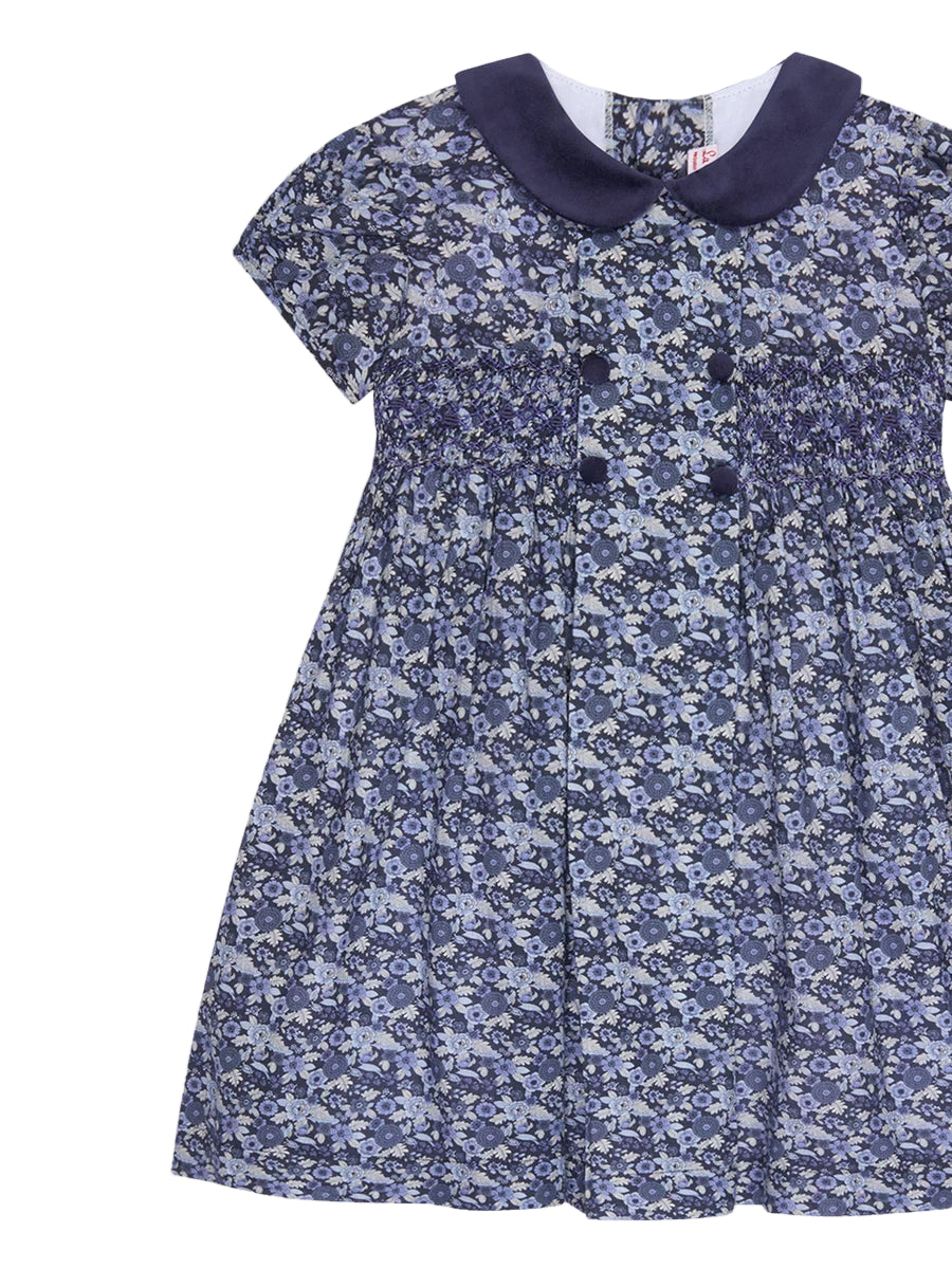arcadia smocked dress