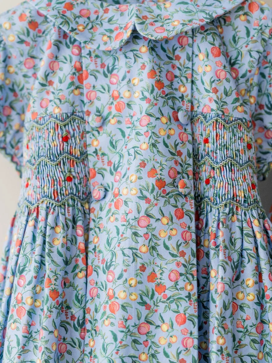bb arcadia smocked dress