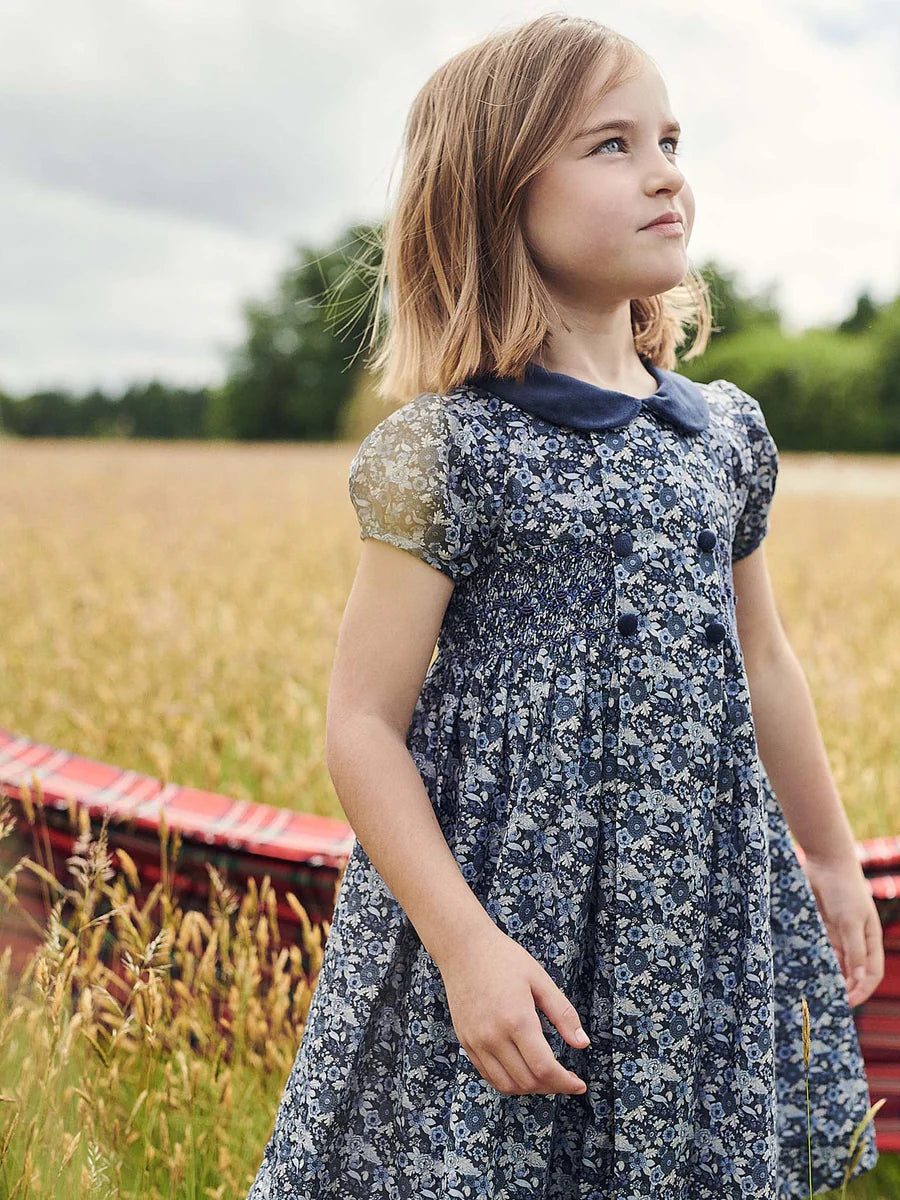 arcadia smocked dress