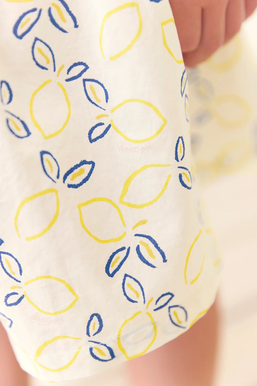 framboise skirt