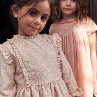 carlota smocked dress