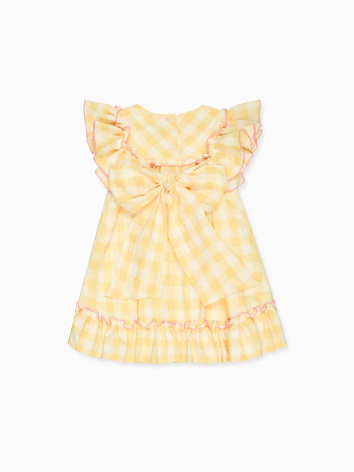 rosa dress C