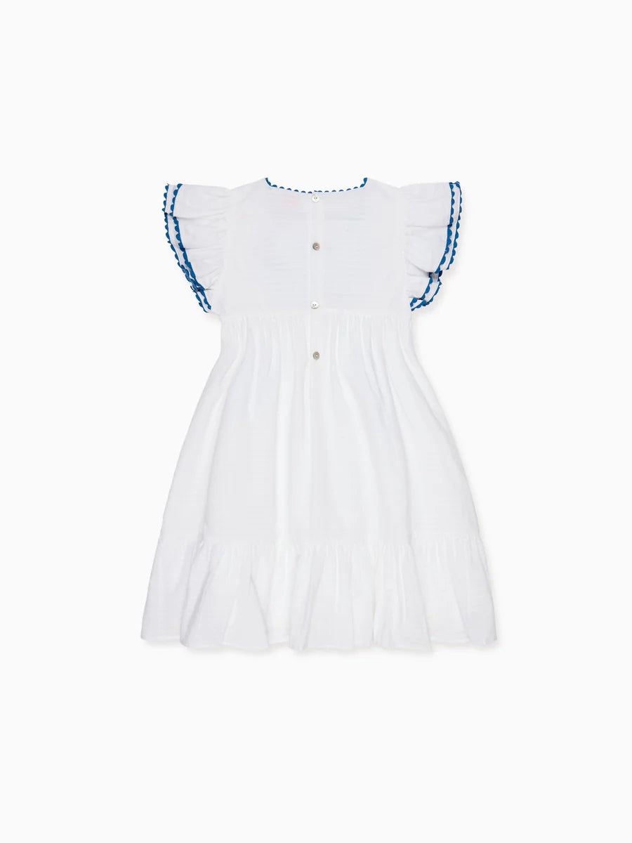 evelyn embroidered dress