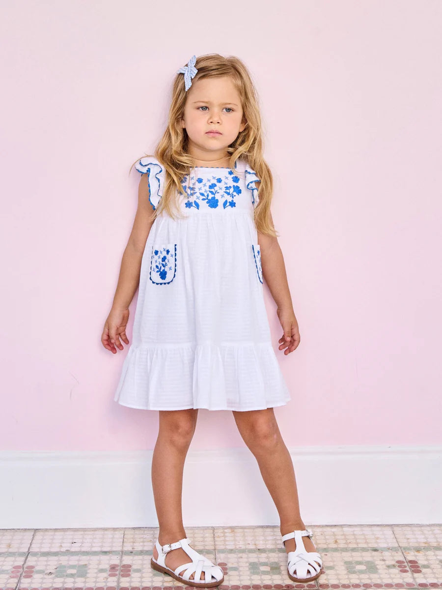 evelyn embroidered dress