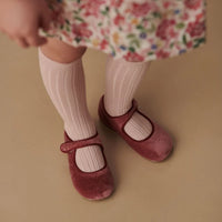 bb ribbed knee socks