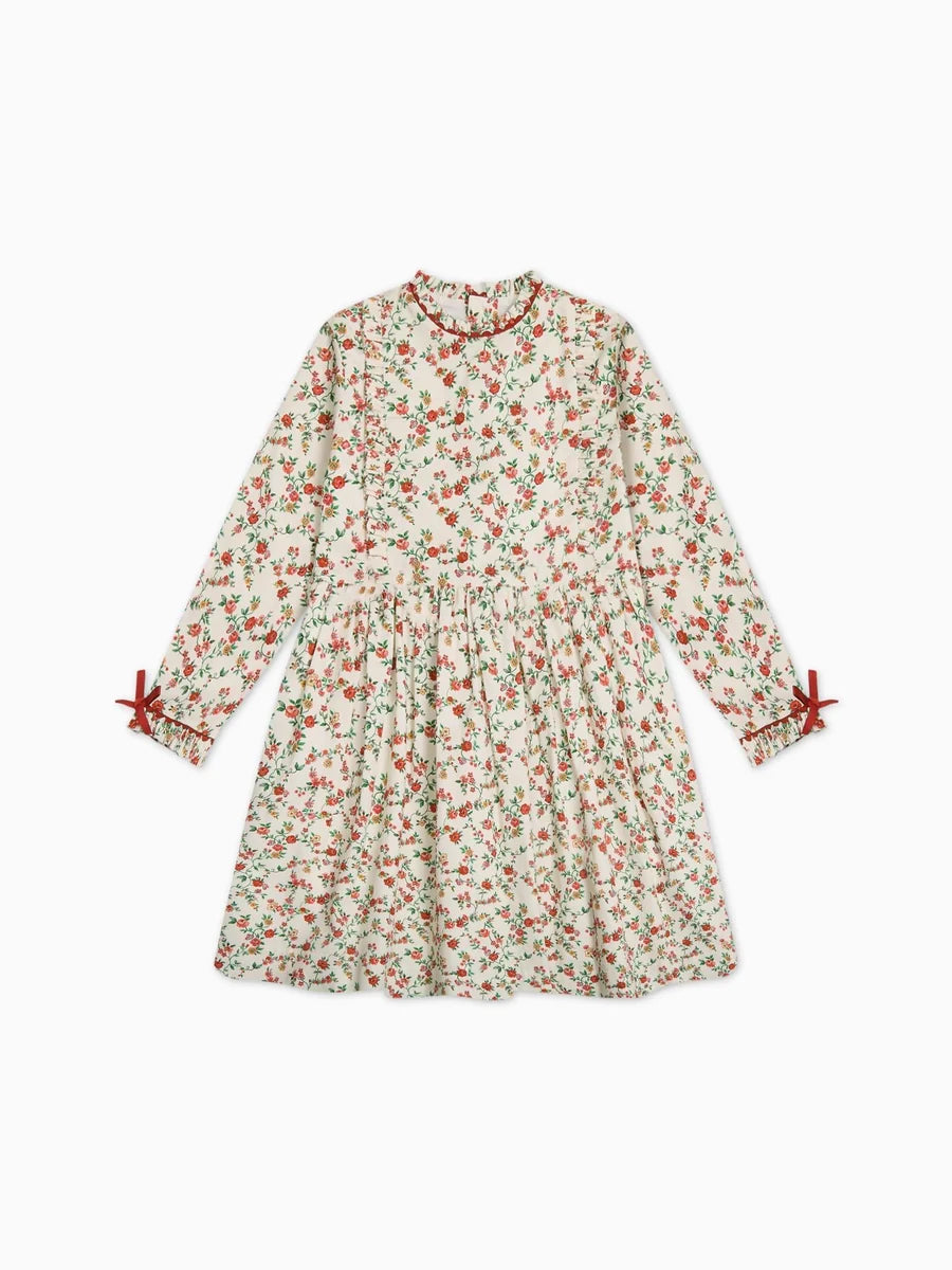 bb rosaura dress