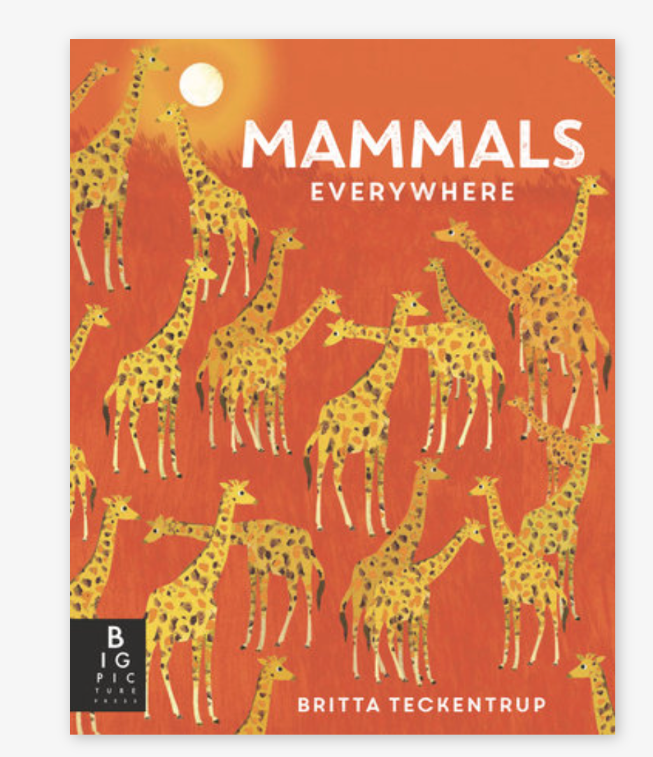 mammals everywhere book