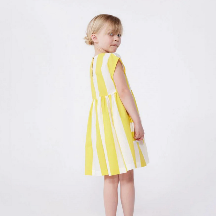 ss stripe pocket dress