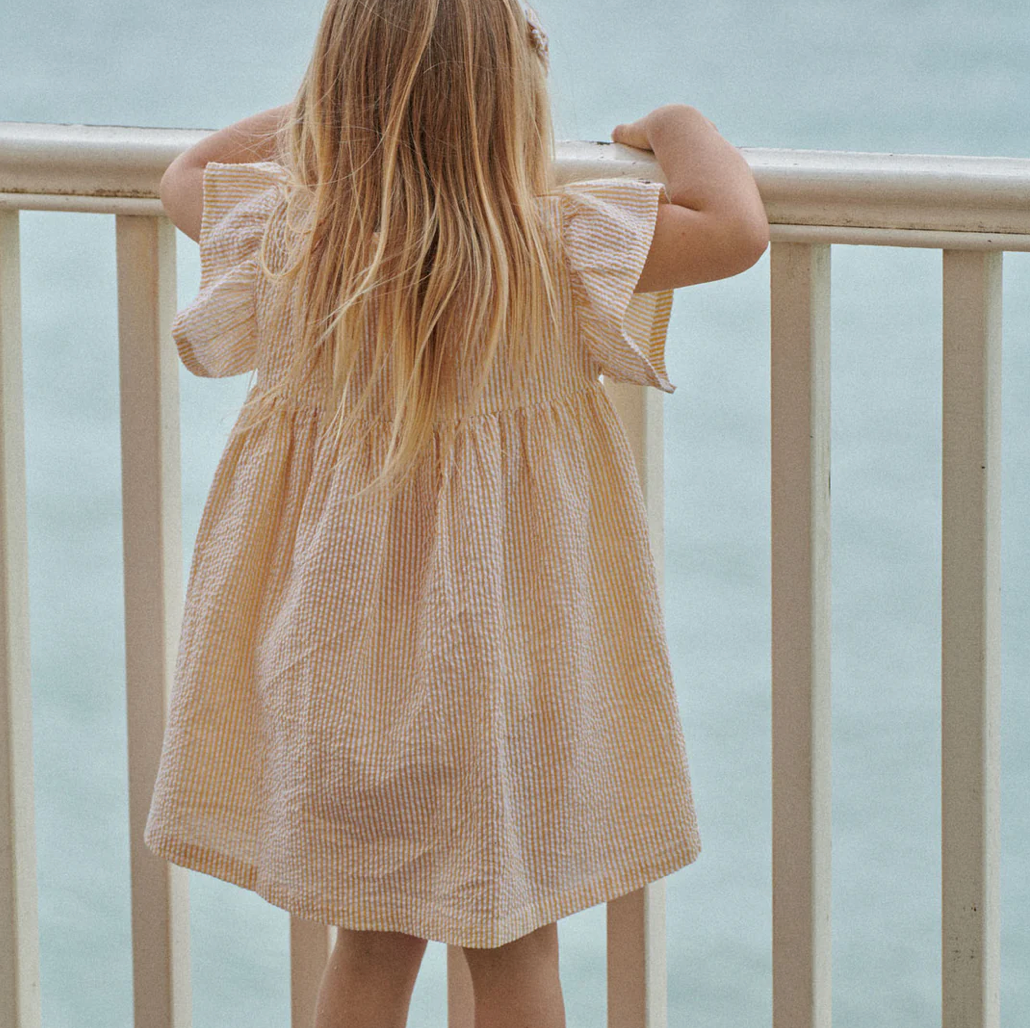 bb bonnie dress